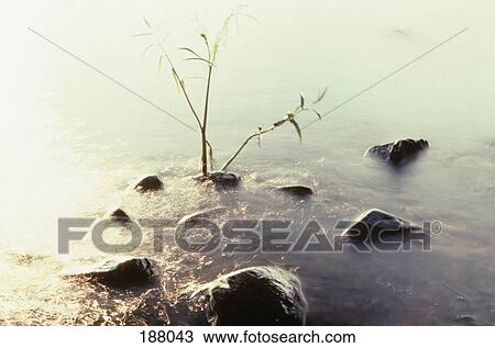 Stock Image - Hot spring. Fotosearch