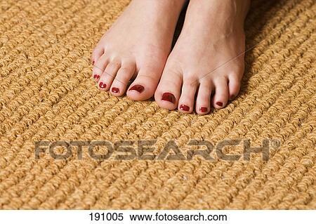 Woman's feet with toenails painted burgundy View Large Photo Image Stock Photography - Woman's feet with toenails painted burgundy. Fotosearch