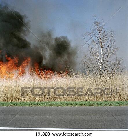 Stock Image - A fire burning in a field. Fotosearch