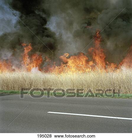 A fire burning on a roadside View Large Photo Image Stock Photo - A fire burning on a roadside. Fotosearch