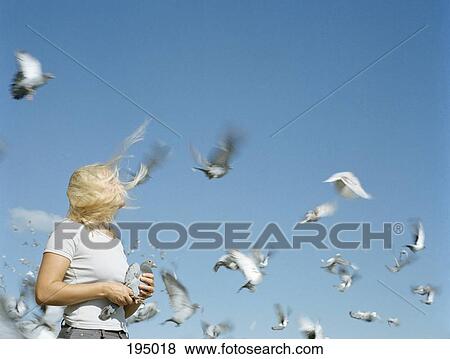 A woman holding a pigeon as other pigeons fly around her View Large Photo Image Stock Photo - A woman holding a pigeon as other pigeons fly around her. Fotosearch