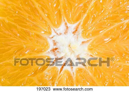 Stock Image - Close up of an orange. Fotosearch