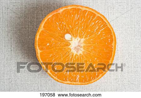 Stock Photo - Half of an orange. Fotosearch