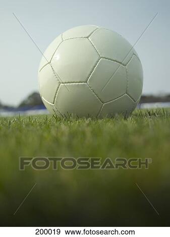 Stock Photo - A soccer ball in grass. Fotosearch
