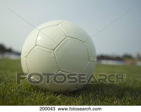 A soccer ball on a soccer field View Large Photo Image Stock Image - A soccer ball on a soccer field. Fotosearch