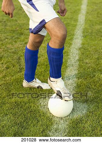 A soccer player with his foot on a soccer ball View Large Photo Image Stock Photo - A soccer player with his foot on a soccer ball. Fotosearch