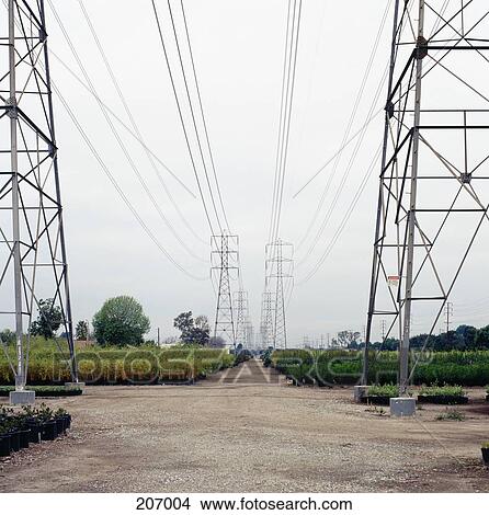Power lines above plant nursery View Large Photo Image Picture - Power lines above plant nursery. Fotosearch