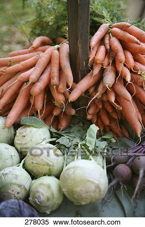 Stock Photography - Carrots, kohlrabi and beetroot at farmer’s market. Fotosearch