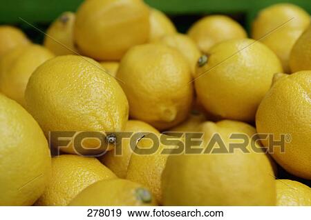 Pile of lemons View Large Photo Image Stock Photo - Pile of lemons. Fotosearch