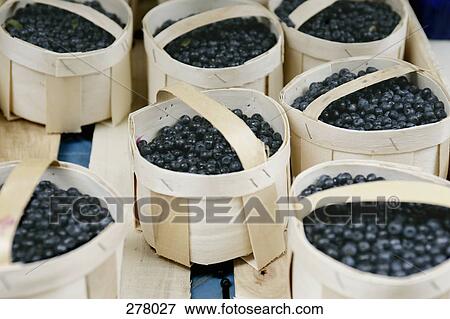 Small baskets of blueberries View Large Photo Image Stock Photo - Small baskets of blueberries. Fotosearch