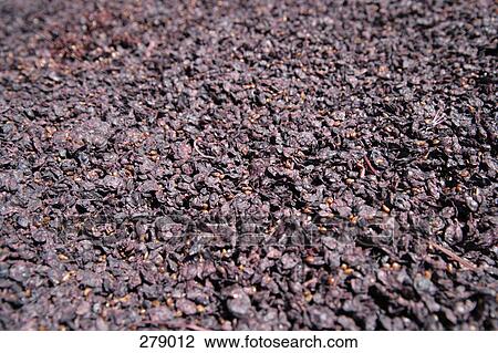 Dried grapes View Large Photo Image Stock Image - Dried grapes. Fotosearch