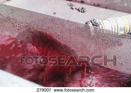Winemaking View Large Photo Image Stock Photo - Winemaking. Fotosearch