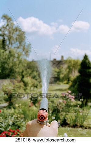 Man watering flowers with hose View Large Photo Image Stock Photograph - Man watering flowers with hose. Fotosearch