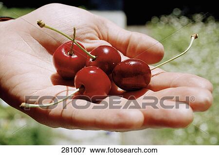 Stock Photo - Man with handful of cherries. Fotosearch