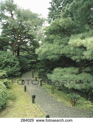 Footpath through park View Large Photo Image Stock Photo - Footpath through park. Fotosearch