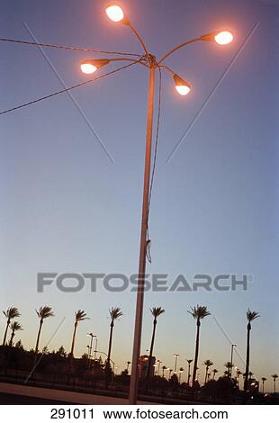 Street lights and palm trees above town at sunset View Large Photo Image Stock Image - Street lights and palm trees above town at sunset. Fotosearch