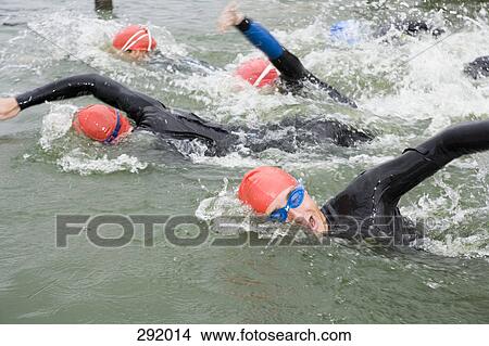 Men swimming in triathlon View Large Photo Image Picture - Men swimming in triathlon. Fotosearch