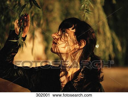 Woman touching tree branch with dusk shadows View Large Photo Image Stock Image - Woman touching tree branch with dusk shadows. Fotosearch