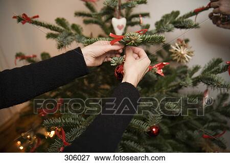Close-up of couple decorating a Christmas tree View Large Photo Image Stock Photo - Close-up of couple decorating a Christmas tree. Fotosearch