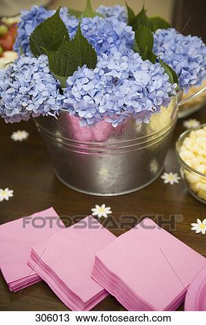 Hydrangea flowers on table with party food View Large Photo Image Stock Image - Hydrangea flowers on table with party food. Fotosearch