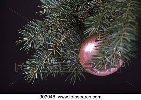 A Christmas ornament on a Christmas tree View Large Photo Image Stock Photo - A Christmas ornament on a Christmas tree. Fotosearch