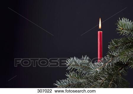 A red candle on a Christmas tree View Large Photo Image Stock Image - A red candle on a Christmas tree. Fotosearch