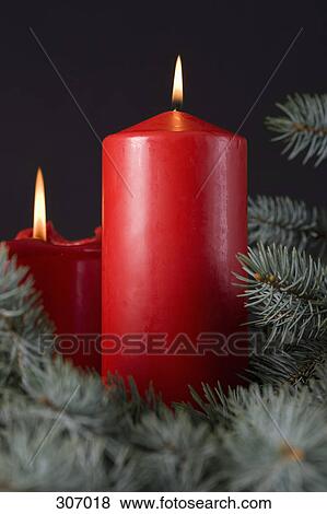Two candles among pine branches View Large Photo Image Stock Photo - Two candles among pine branches. Fotosearch