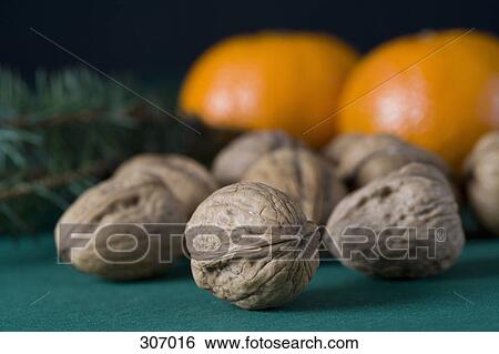 Walnuts with tangerines in the background View Large Photo Image Stock Photograph - Walnuts with tangerines in the background. Fotosearch