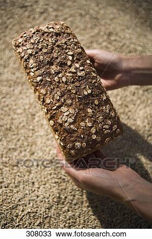 A loaf of bread held above a pile of grain View Large Photo Image Stock Image - A loaf of bread held above a pile of grain. Fotosearch
