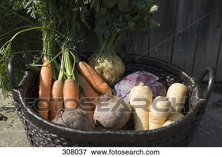 Basket full of vegetables View Large Photo Image Stock Photo - Basket full of vegetables. Fotosearch