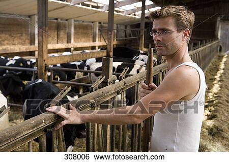 Farm worker in barn with cows View Large Photo Image Stock Photograph - Farm worker in barn with cows. Fotosearch