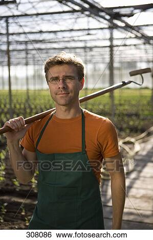 Farm worker in greenhouse carrying hoe View Large Photo Image Stock Photograph - Farm worker in greenhouse carrying hoe. Fotosearch