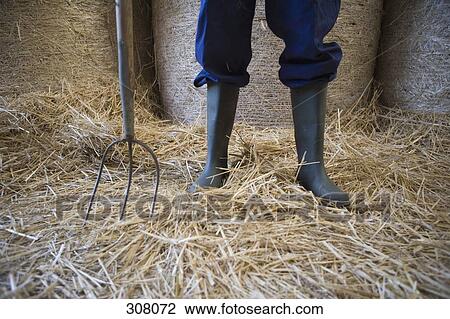 Low section of farmer’s galoshes standing with pitchfork View Large Photo Image Stock Image - Low section of farmer’s galoshes standing with pitchfork. Fotosearch
