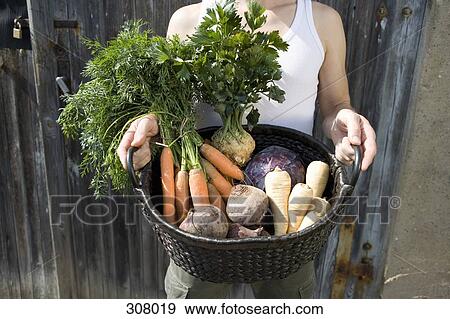 Stock Photo - Man holding freshly picked vegetables in basket. Fotosearch