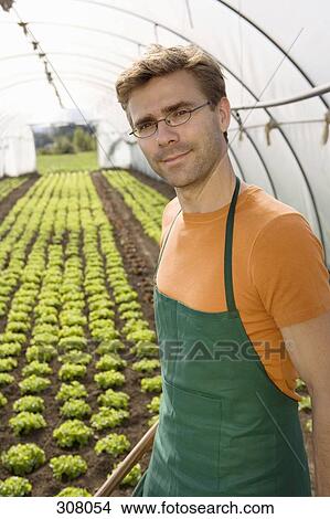 Man working in greenhouse View Large Photo Image Picture - Man working in greenhouse. Fotosearch