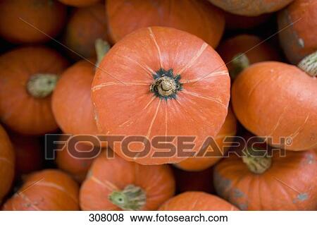 Pumpkins View Large Photo Image Stock Photo - Pumpkins. Fotosearch