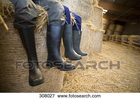 Two farm workers sitting in barn View Large Photo Image Stock Photo - Two farm workers sitting in barn. Fotosearch