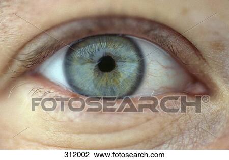 Stock Image - Close-up of human eye. Fotosearch