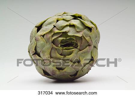 Artichoke View Large Photo Image Picture - Artichoke. Fotosearch