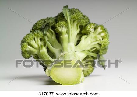 Broccoli View Large Photo Image Stock Photo - Broccoli. Fotosearch