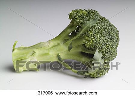 Stock Photograph - Broccoli. Fotosearch
