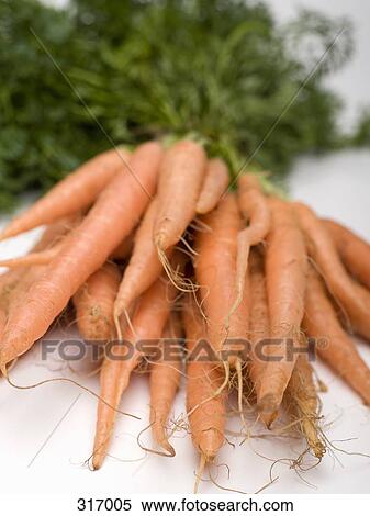Bunch of carrots View Large Photo Image Stock Photography - Bunch of carrots. Fotosearch