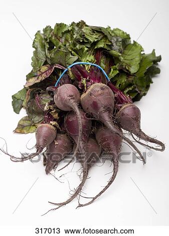 Bunch of Chioggia beets View Large Photo Image Stock Image - Bunch of Chioggia beets. Fotosearch
