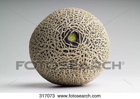 Cantaloupe View Large Photo Image Stock Image - Cantaloupe. Fotosearch
