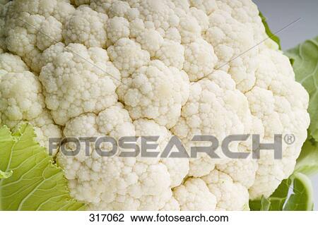 Cauliflower View Large Photo Image Stock Image - Cauliflower. Fotosearch