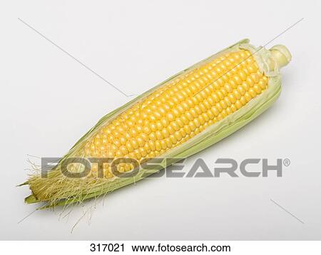 Stock Image - Corn on the cob. Fotosearch
