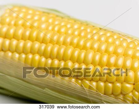 Stock Photo - Corn on the cob. Fotosearch