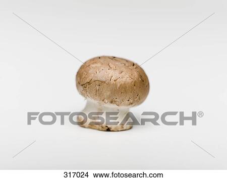 Picture - Crimini Mushroom. Fotosearch