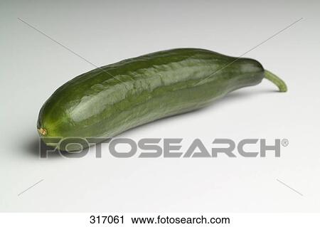 Cucumber View Large Photo Image Stock Image - Cucumber. Fotosearch