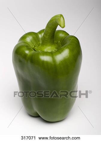 Green bell pepper View Large Photo Image Stock Image - Green bell pepper. Fotosearch